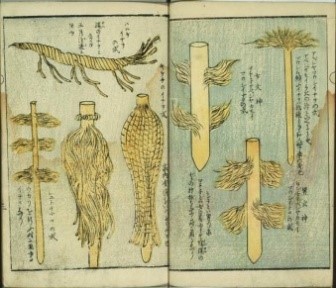 Dogwood sacred stick